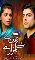 Zindgi gulzar hai
