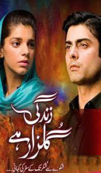 Image of Zindgi gulzar hai